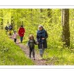 Sur les pas du chevreuil aux bois d'argent - Bettina Lanchais - Festival de l'oiseau