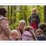 Sur les pas du chevreuil aux bois d'argent - Bettina Lanchais - Festival de l'oiseau