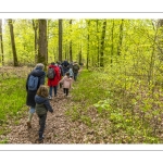 Sur les pas du chevreuil aux bois d'argent - Bettina Lanchais - Festival de l'oiseau