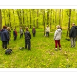 Sylvothérapie en forêt de Crécy, Bettina Lanchais, Festival de l'Oiseau