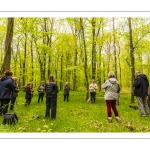 Sylvothérapie en forêt de Crécy, Bettina Lanchais, Festival de l'Oiseau