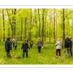 Sylvothérapie en forêt de Crécy, Bettina Lanchais, Festival de l'Oiseau