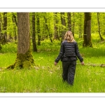 Sylvothérapie en forêt de Crécy, Bettina Lanchais, Festival de l'Oiseau