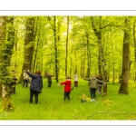 Sylvothérapie en forêt de Crécy, Bettina Lanchais, Festival de l'Oiseau