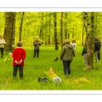 Sylvothérapie en forêt de Crécy, Bettina Lanchais, Festival de l'Oiseau