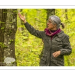 Sylvothérapie en forêt de Crécy, Bettina Lanchais, Festival de l'Oiseau