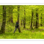 Sylvothérapie en forêt de Crécy, Bettina Lanchais, Festival de l'Oiseau