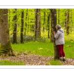 Sylvothérapie en forêt de Crécy, Bettina Lanchais, Festival de l'Oiseau