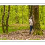 Sylvothérapie en forêt de Crécy, Bettina Lanchais, Festival de l'Oiseau