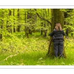 Sylvothérapie en forêt de Crécy, Bettina Lanchais, Festival de l'Oiseau