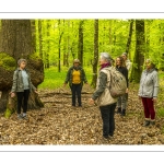 Sylvothérapie en forêt de Crécy, Bettina Lanchais, Festival de l'Oiseau