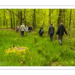 Sylvothérapie en forêt de Crécy, Bettina Lanchais, Festival de l'Oiseau