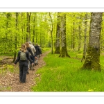 Sylvothérapie en forêt de Crécy, Bettina Lanchais, Festival de l'Oiseau