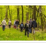 Sylvothérapie en forêt de Crécy, Bettina Lanchais, Festival de l'Oiseau