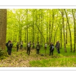 Sylvothérapie en forêt de Crécy, Bettina Lanchais, Festival de l'Oiseau