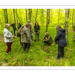 Sylvothérapie en forêt de Crécy, Bettina Lanchais, Festival de l'Oiseau