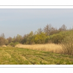 Les marais de la basse vallée de la Somme près de Port-le-Grand