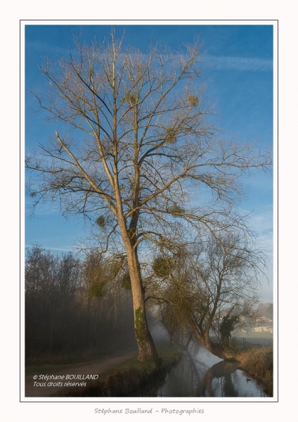 Bouvaque_08_03_2016_045-border