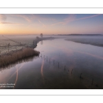 Matin brumeux et gelée sur les polders de la baie de Somme