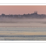 Le Crotoy dans la brume