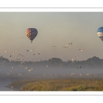 Vol de mongolfières au dessus des renclôtures