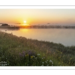 Lever de soleil sur le marais