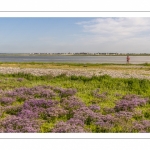 Promeneurs au Cap hornu en Baie de Somme