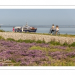 Promeneurs au Cap hornu en Baie de Somme