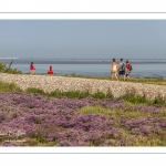 Promeneurs au Cap hornu en Baie de Somme