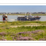 Promeneurs au Cap hornu en Baie de Somme