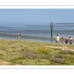 Promeneurs au Cap hornu en Baie de Somme