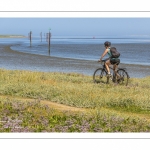 Promeneurs à vélo au Cap hornu en Baie de Somme