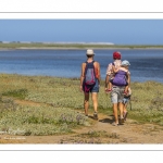 Promeneurs au Cap hornu en Baie de Somme