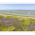 Les bateaux sur le chenal de la Somme le long des mollières en fleurs