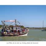 CRO_039