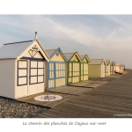 Cay_006