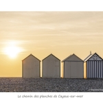 Cay_007