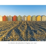 Cay_012