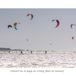 Cro_010