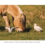Carte_047