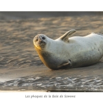 Pho_019