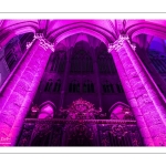 La cathédrale d'Amiens illuminée