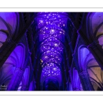 La cathédrale d'Amiens illuminée