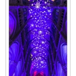 La cathédrale d'Amiens illuminée