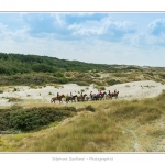 Cavaliers_St_Quentin_tourmont_31_07_2015_008-BorderMaker
