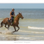 Cavaliers_St_Quentin_tourmont_31_07_2015_041-BorderMaker