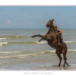 Cavaliers_St_Quentin_tourmont_31_07_2015_064-BorderMaker