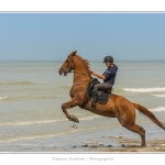 Cavaliers_St_Quentin_tourmont_31_07_2015_080-BorderMaker