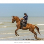 Cavaliers_St_Quentin_tourmont_31_07_2015_081-BorderMaker