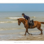 Cavaliers_St_Quentin_tourmont_31_07_2015_083-BorderMaker